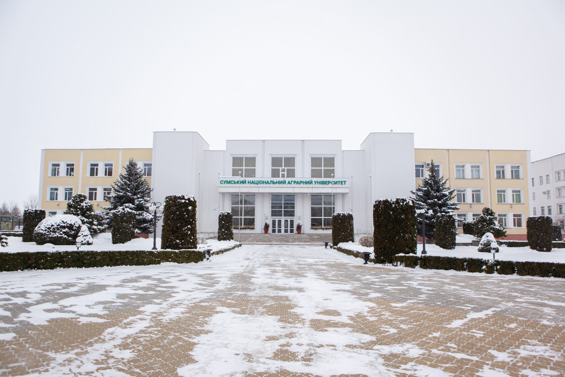 Слайд 4 Зимова